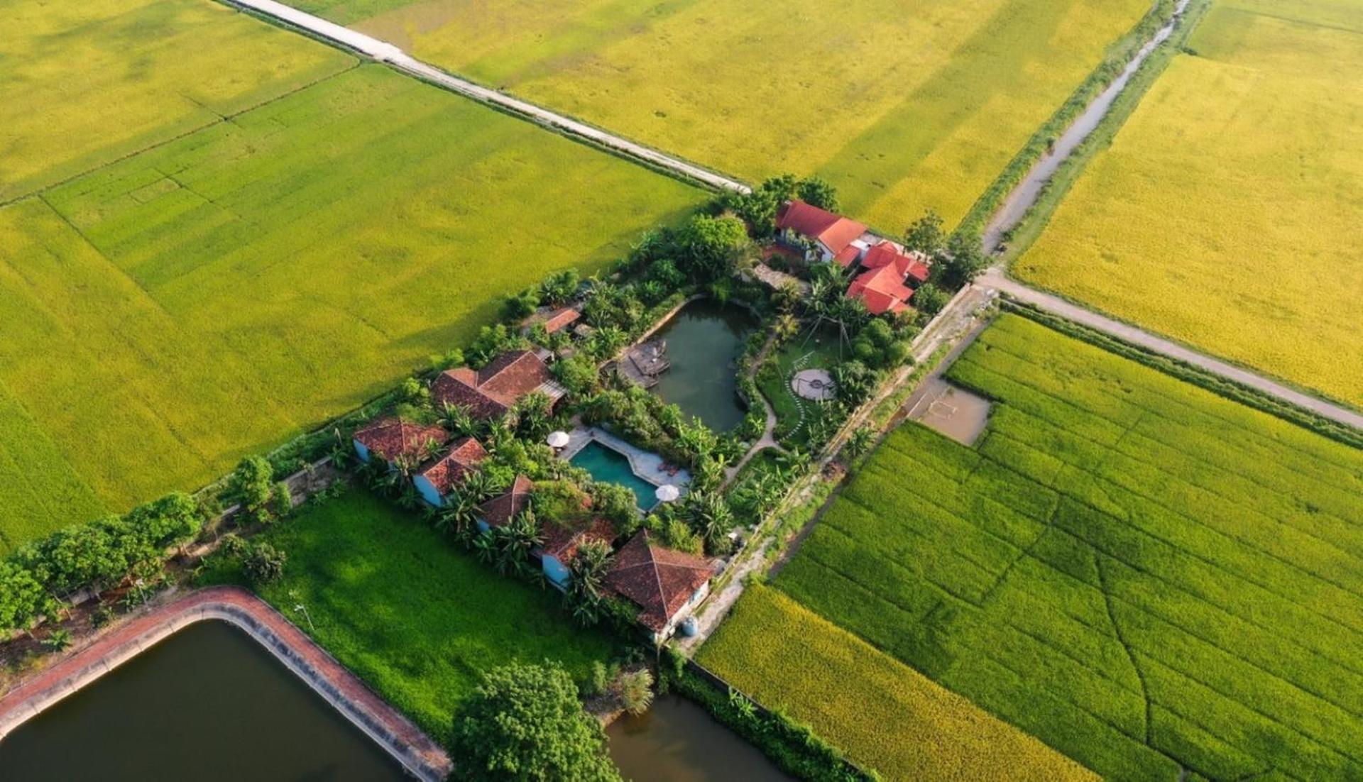 Chezcao Rice Field Ecolodge Ninh Bình Extérieur photo