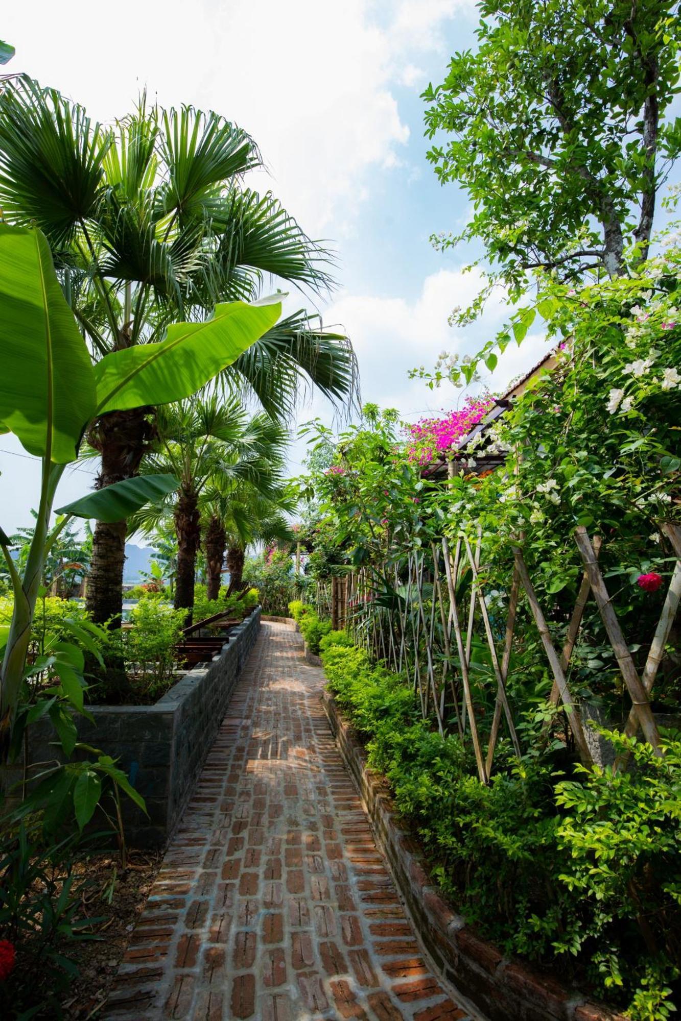 Chezcao Rice Field Ecolodge Ninh Bình Extérieur photo